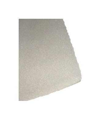 filtre mousse 60 cm origine