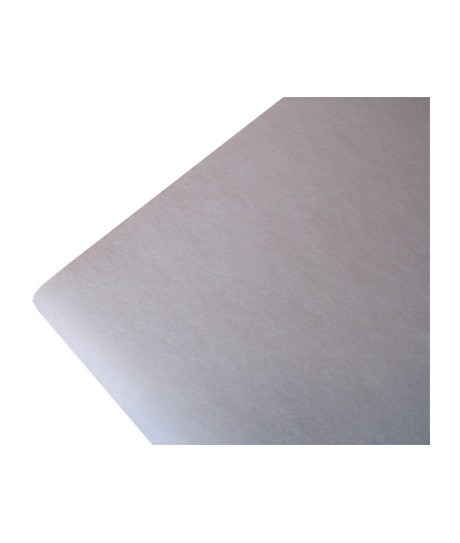 filtre mousse ff140060